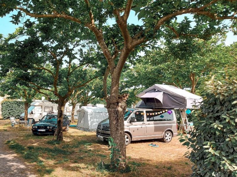 Emplacement de camping ombragé