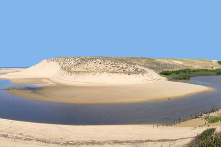 Visiter les Landes : les 10 lieux à voir absolument
