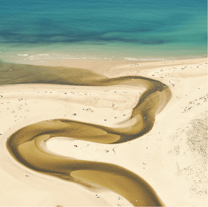 Rectangle 2260 Rectangle 2260